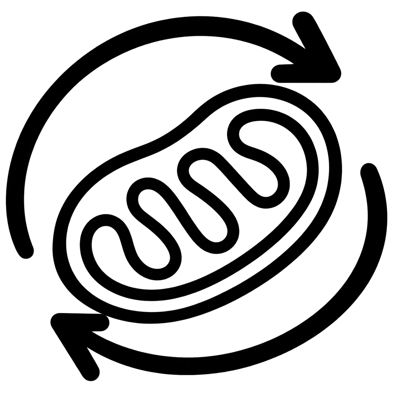 Cellular Energy